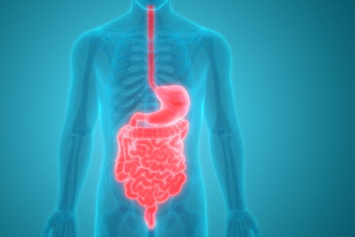Symptoms and Treatment of Steatorrhea (Fatty Stool)
