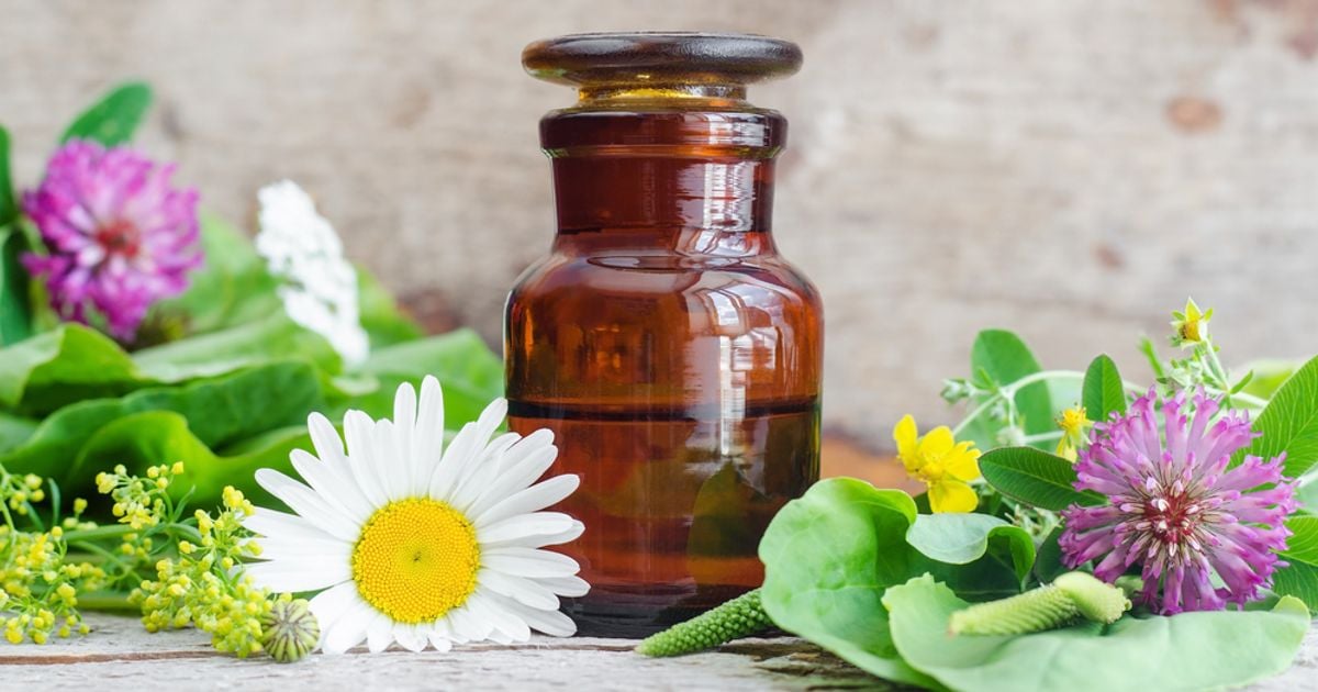 What are the Health Benefits of Bioflavonoids? Facty Health