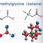 The Total Body Benefits of Betaine