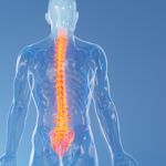 Synovial Cysts Symptoms and Treatments Explained