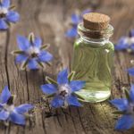 The Exciting Health Benefits of Borage Oil