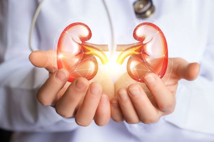 Understanding the Stages of Kidney Disease
