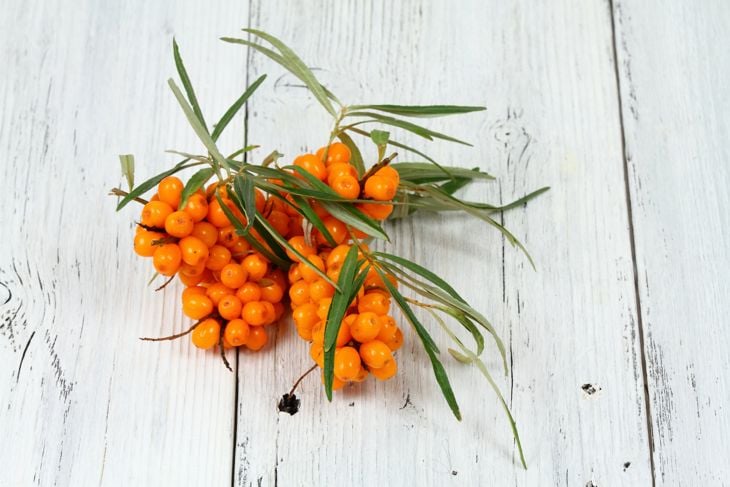Top 10 Health Benefits of Sea Buckthorn Oil