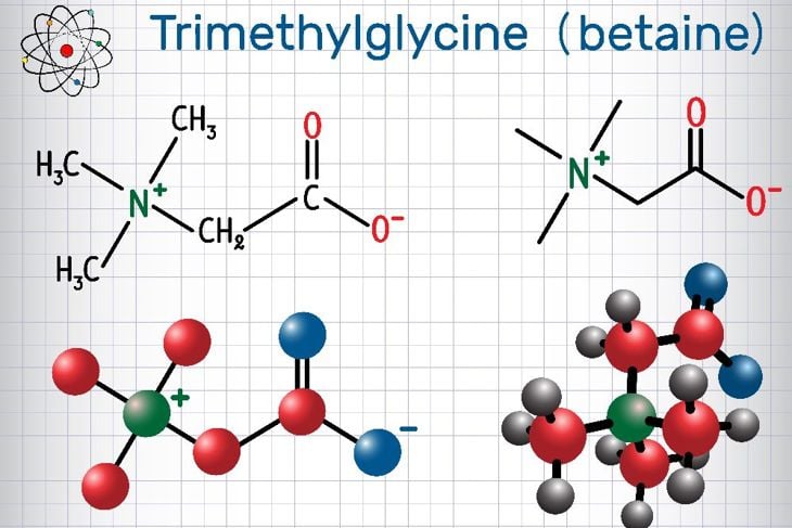 The Total Body Benefits of Betaine