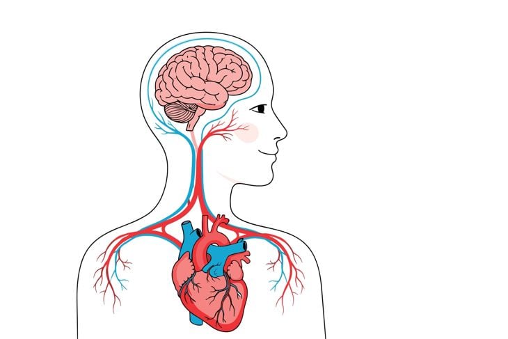 Preventing Vertebral Artery Occlusion: What You Need to Know