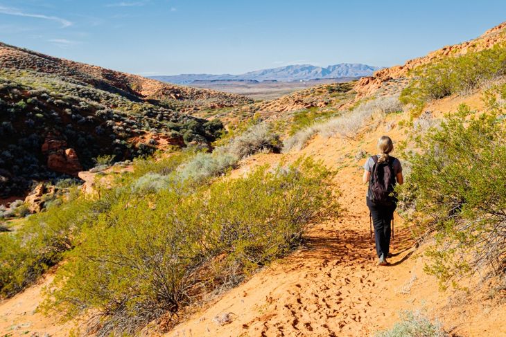 Female Hiker Walking Through Red Sand on The Elephant Arch Trail, Red Cliffs Desert Preserve, Utah, USA