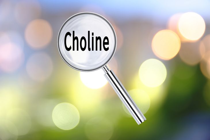 The Necessity And Health Benefits of Choline