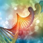 What Is Cell Theory?