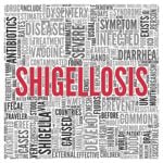 What is Shigellosis or Shigella
