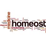Homeostasis: What It Is and How It Works