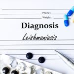 Top 10 Frequently Asked Questions About Leishmaniasis