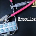 What is Brucellosis?