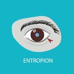 What is Entropion?