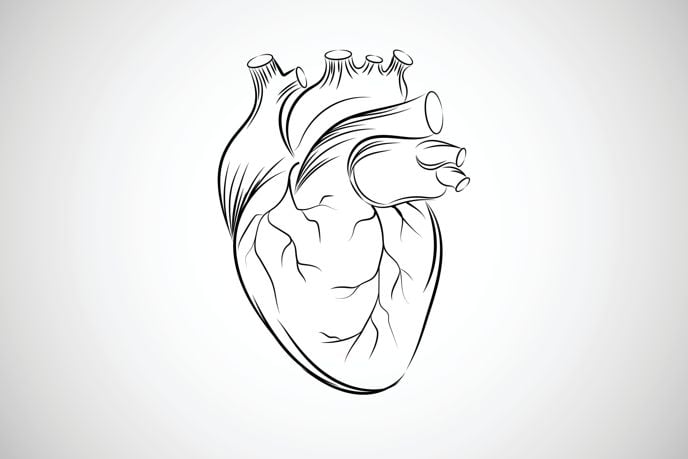 Enlarged Heart: Causes, Symptoms, and Treatment Options