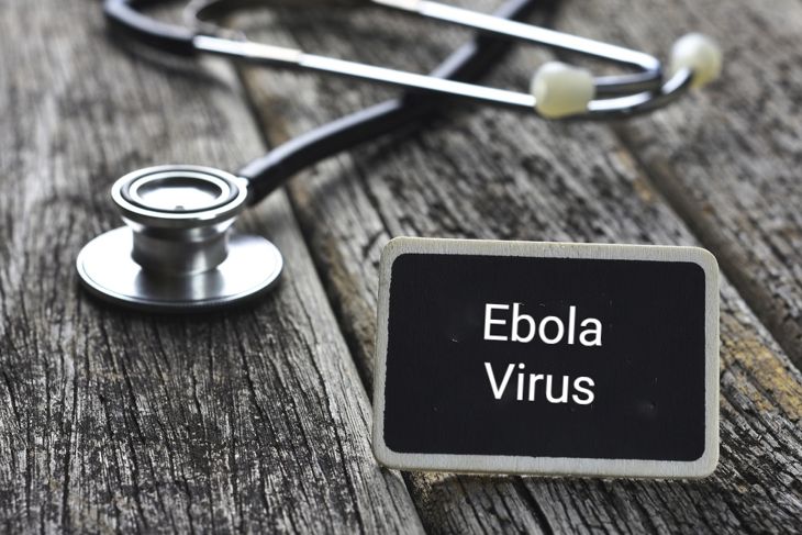 10 Causes, Symptoms, and Treatments of Ebola