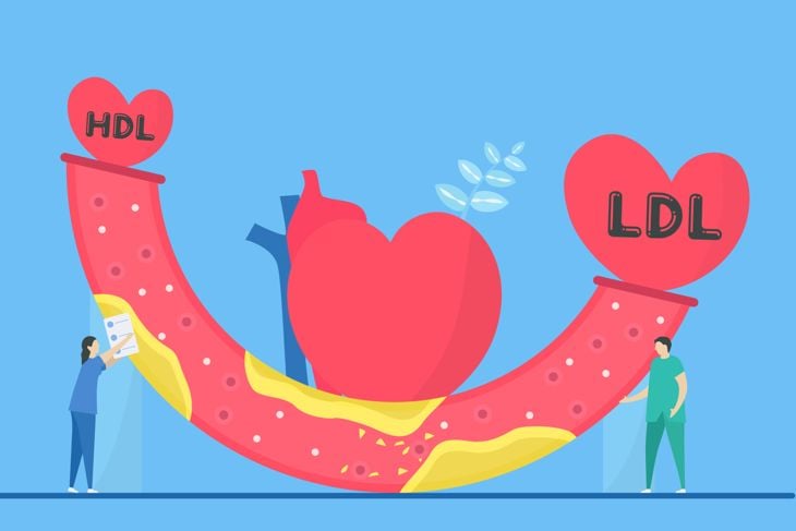 Cardiology vector illustration