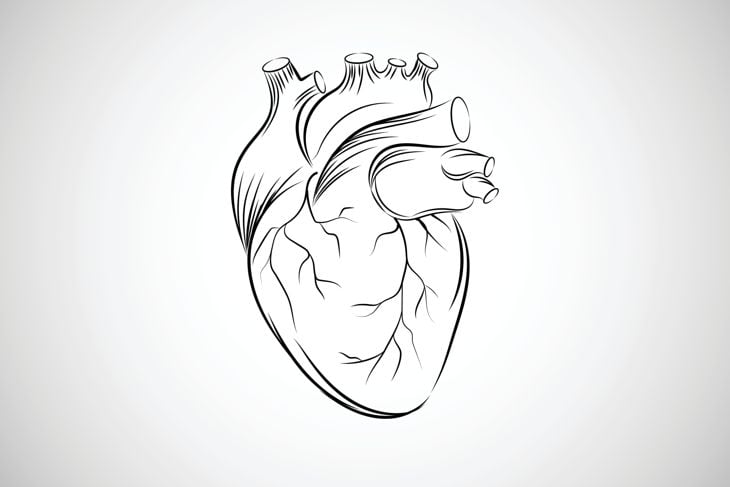 Enlarged Heart: Causes, Symptoms, and Treatment Options
