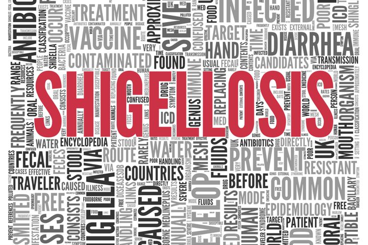 What is Shigellosis or Shigella