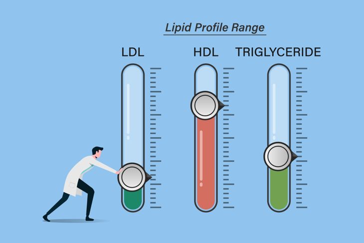 maintain optimal lipid profile levels or range