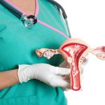 What is a Proliferative Endometrium?