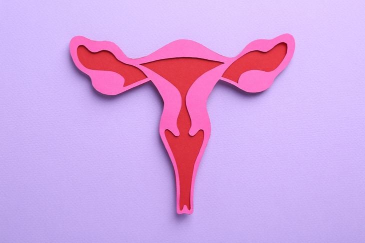 Reproductive medicine. Paper uterus on violet background, top view