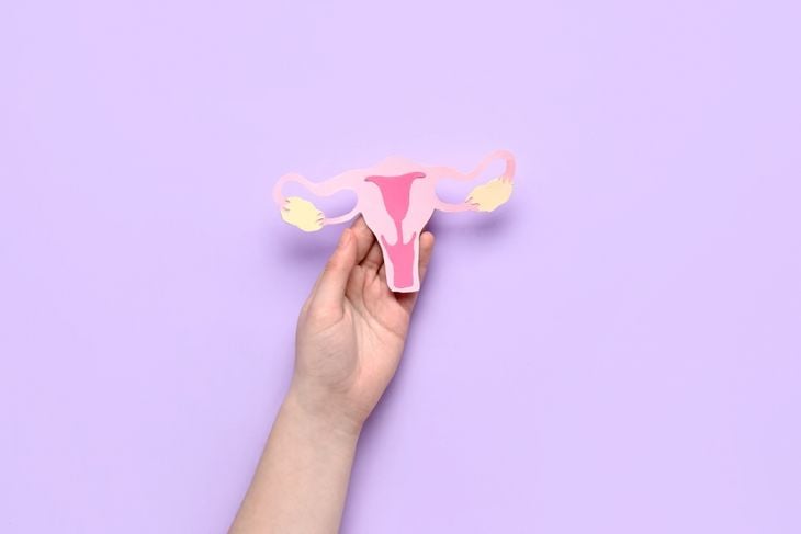 Female hand with paper uterus on lilac background, closeup