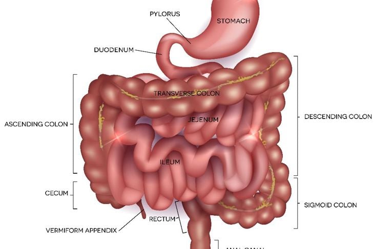 10 Facts about Gastrointestinal Cancer