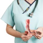 What Is the Esophagus?