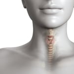 How to Maintain Thyroid Health and Prevent Conditions