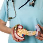 What is the Duodenum?