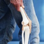 What Are Ligaments?