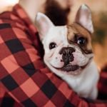 Top 10 Best Dog Names for 2018
