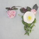Everything You Need To Know About Nabothian Cysts