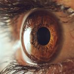 What You Need to Know About Eye Diseases