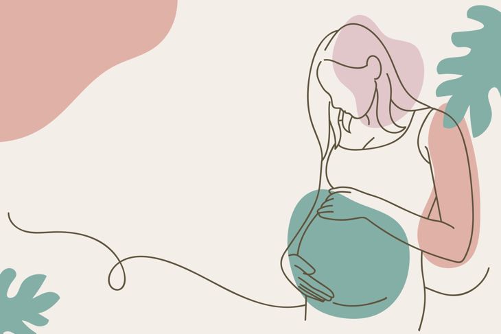 Pregnant woman holding her belly. Vector line art illustration in pastel beige colors