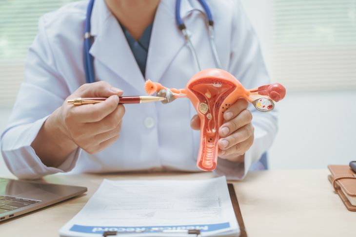 Doctor discussing uterine disease