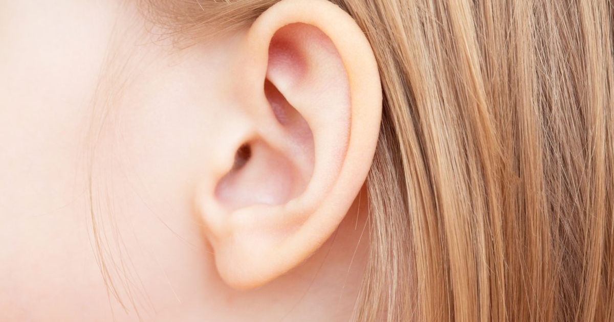 левое ухо 10. ухо. ухо в профиль. красивые уши. левое ухо академия.