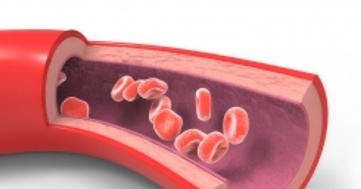 The Astonishing Truth About Arteries Theyre Organs - 0wxtq61
