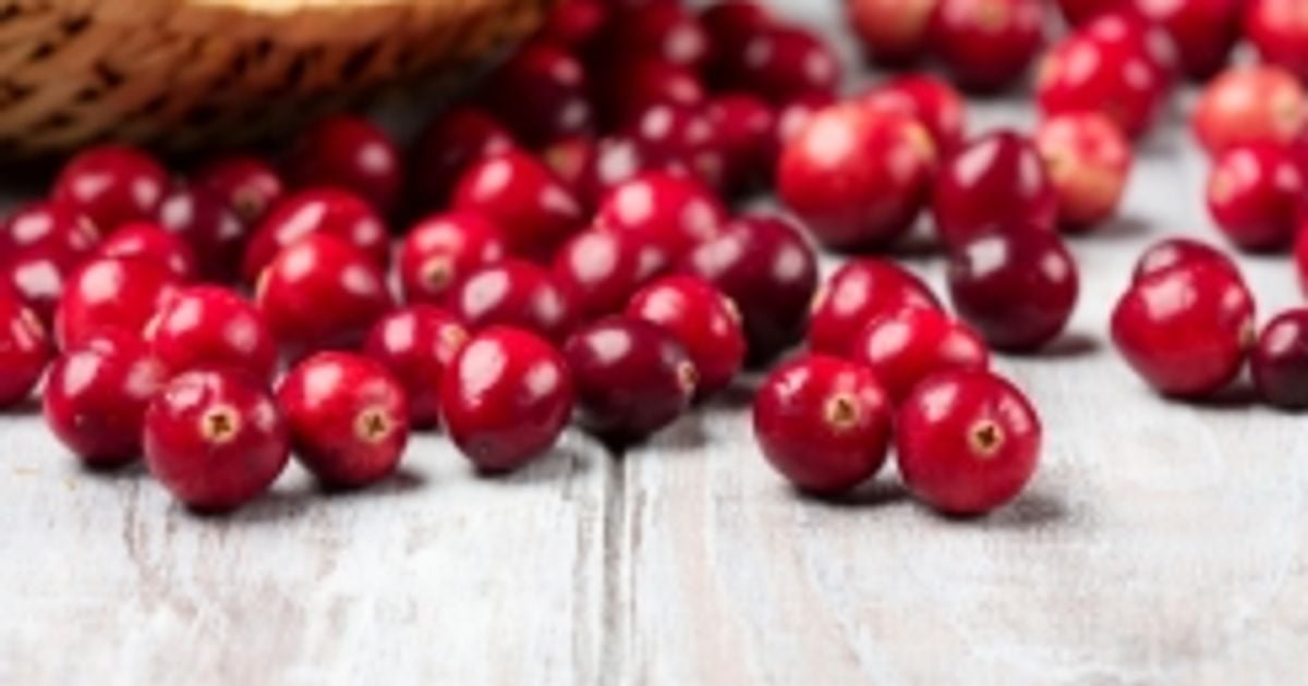 Cranberries Your Natural Path to a healthier lifestyle Facty Health