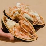 Health Benefits of Baobab Fruit