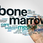 The Essential Functions of Bone Marrow