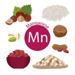The Importance of Manganese
