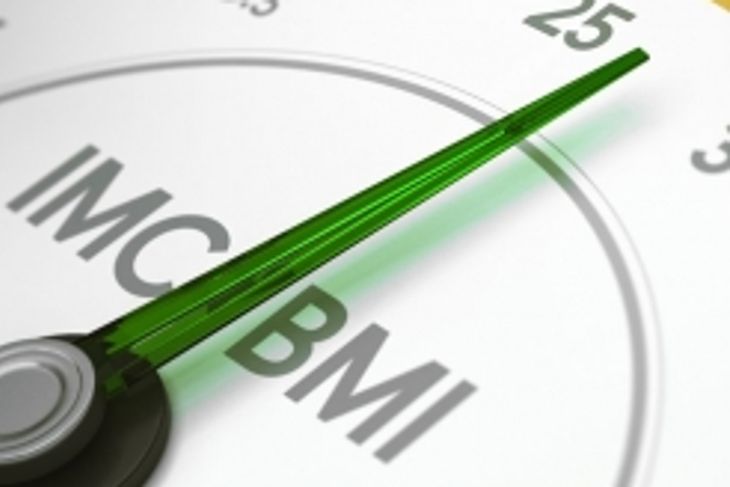 What is the Body Mass Index?