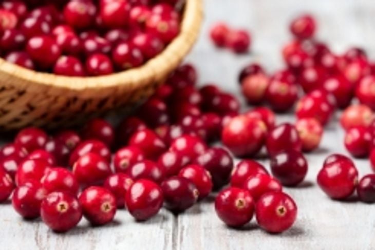 Can Cranberries Boost Your Health? Ten Reasons They Can