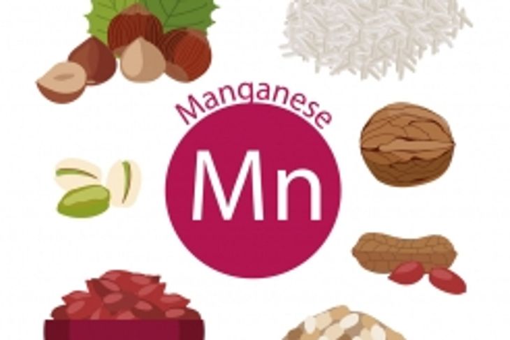 The Importance of Manganese
