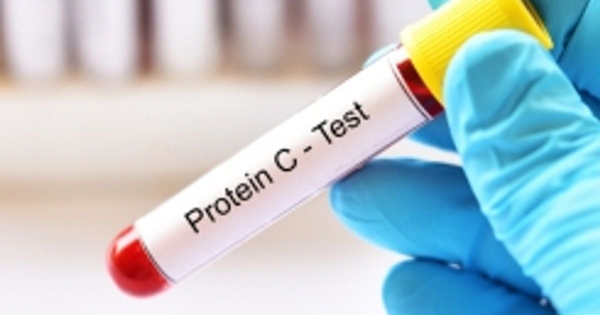 Functions of Protein in the Human Body Facty Health