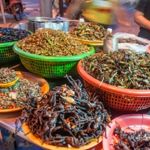 The Practice of Entomophagy