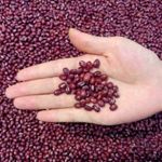 Azuki Beans: For Weight Loss and Much More