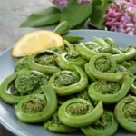 The Health and Culinary Benefits of Fiddleheads