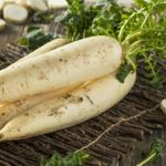 The Health Benefits of Daikon Radish